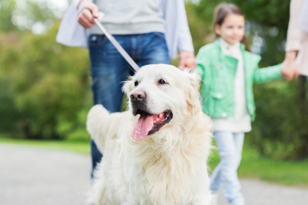 No Time to Work Out? Simple Ways to Stay Active During the Day
