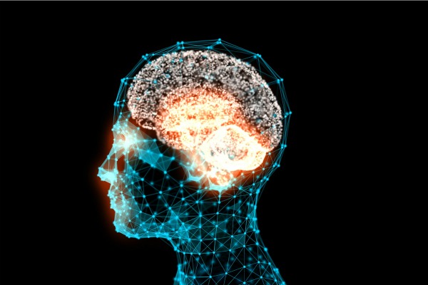 Study Finds Link Between Physical Fitness & Brain Health
