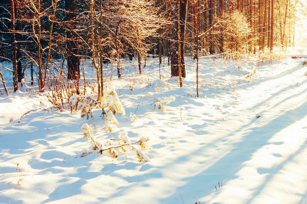 Why be winter-blue? Massage for Seasonal Affective Disorder