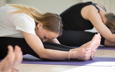 Build & Increase Flexibility with Yoga
